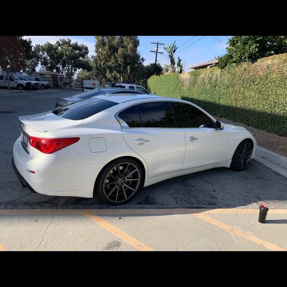 q50panda